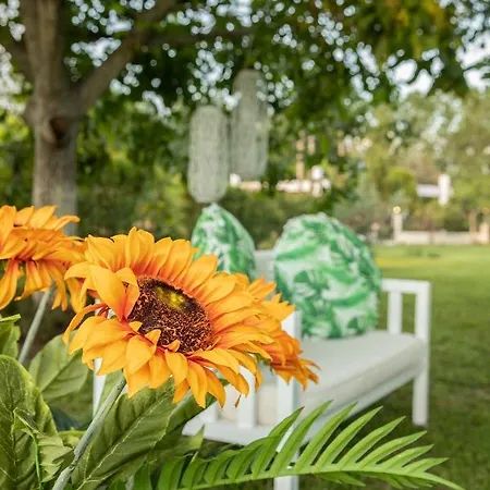 La Varik 4 * Litochoro